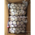 Ail blanc normal 10 kg par carton 2017 Chine Jinxiang ail frais